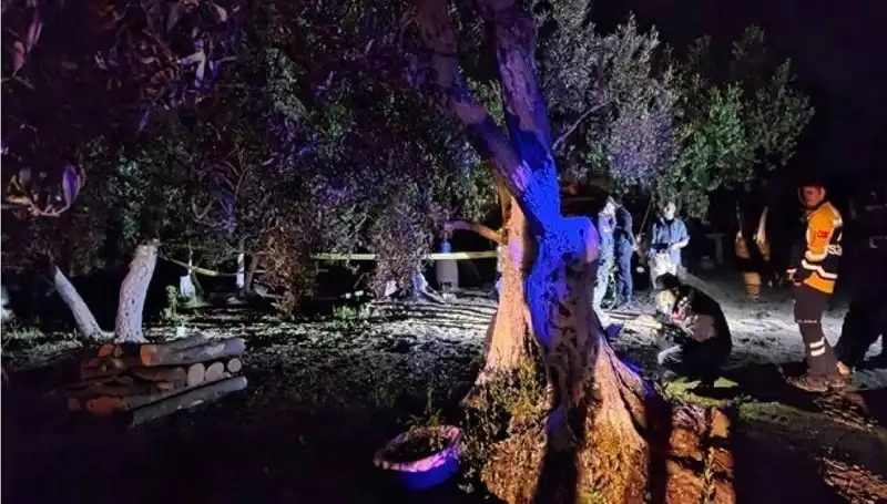 Çiftlikteki Baltalı Vahşet: Neler Oluyor, Kimin Hakkında Tutuklama Gerçekleşti?