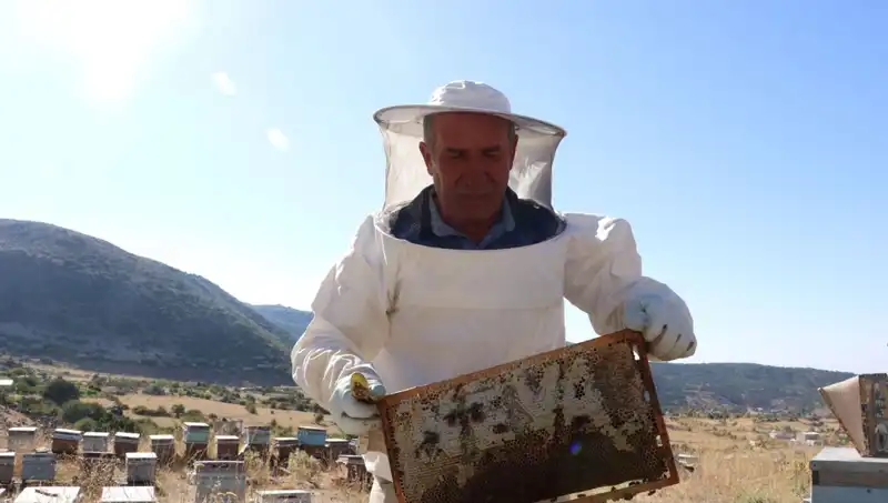 25 Yıl Önceki Kararı Şimdi Başarıya Dönüştürdü: 2 Ton Üretim!
