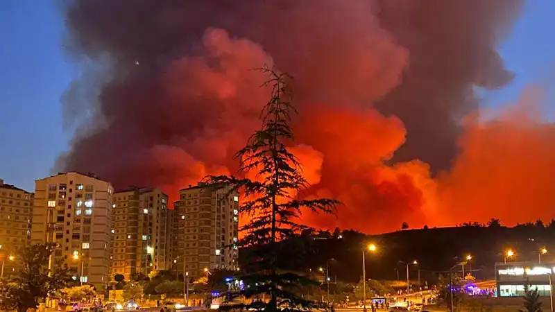 Bursa’yı Karanlık Bir Gece Saran Yangınlar, Şehri Tehdit Ediyor