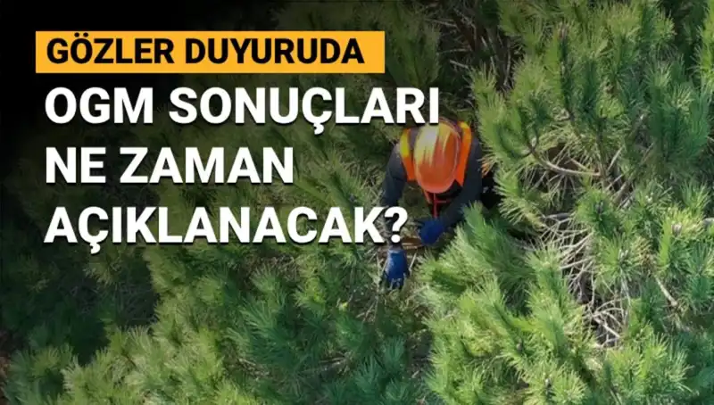 OGM 3.477 Sözleşmeli Personel Alımı Sonuçları: Beklentiler ve Tarihler