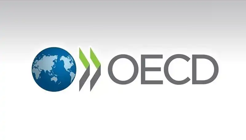 OECD, Türkiye Ekonomisi için 2023 Büyüme Tahminini Güncelledi