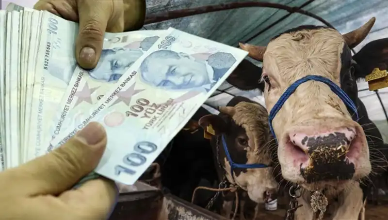 Emekli ve Memur Maaşları Bayram Öncesi Mı Yatacak?