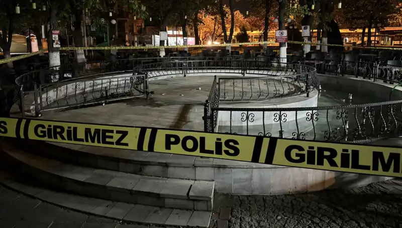Kırklareli'nde Süs Havuzunda Tehlikeli Kazalar: Dört Kişi Hastaneye Kaldırıldı