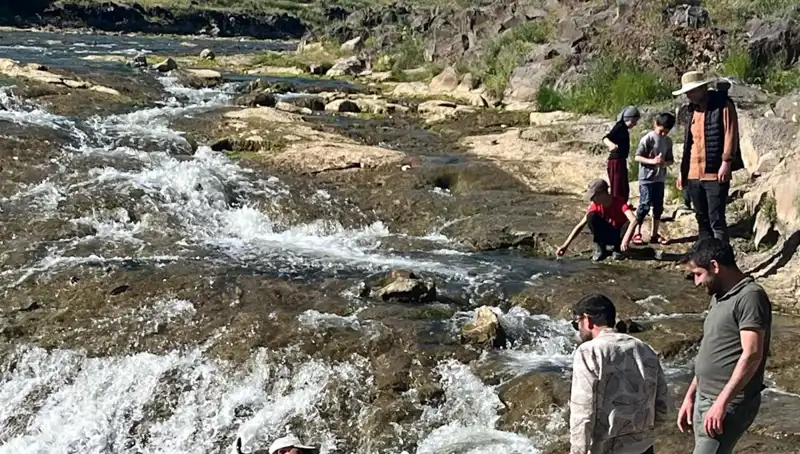 İnci Kefalinin Görkemli Göçü: Doğa Harikası Turistleri Büyülüyor