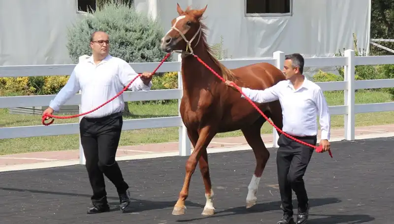 Taşkın Kral, Rekorlarla Dolu Yeni Albümüyle Geri Döndü!