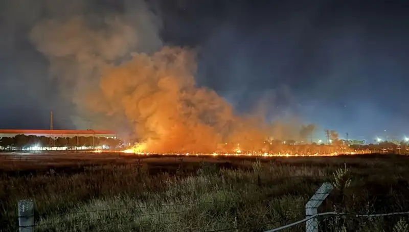 İzmir’de Gece Yarısı Alevlerle Mücadele: Yangın Panik Yarattı