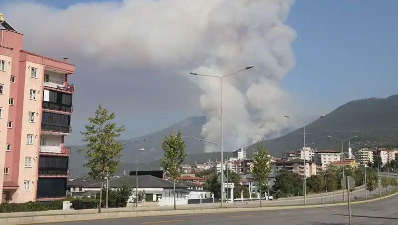 Denizli'de Orman Yangını: Bir Şüpheli Gözaltında, Yangının Nedeni Araştırılıyor
