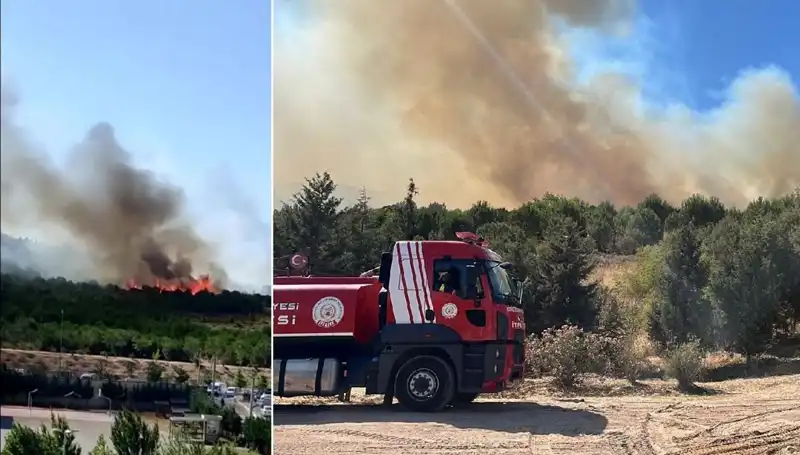 Gebze'de Yangın Alarmı: Ormanlık Alan Alev Alev Yandı!