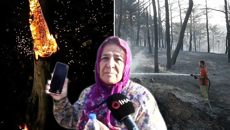 Çanakkale’deki Orman Yangınları Kontrol Altına Alındı: Kayıpların Ardındaki Gizem Ne?