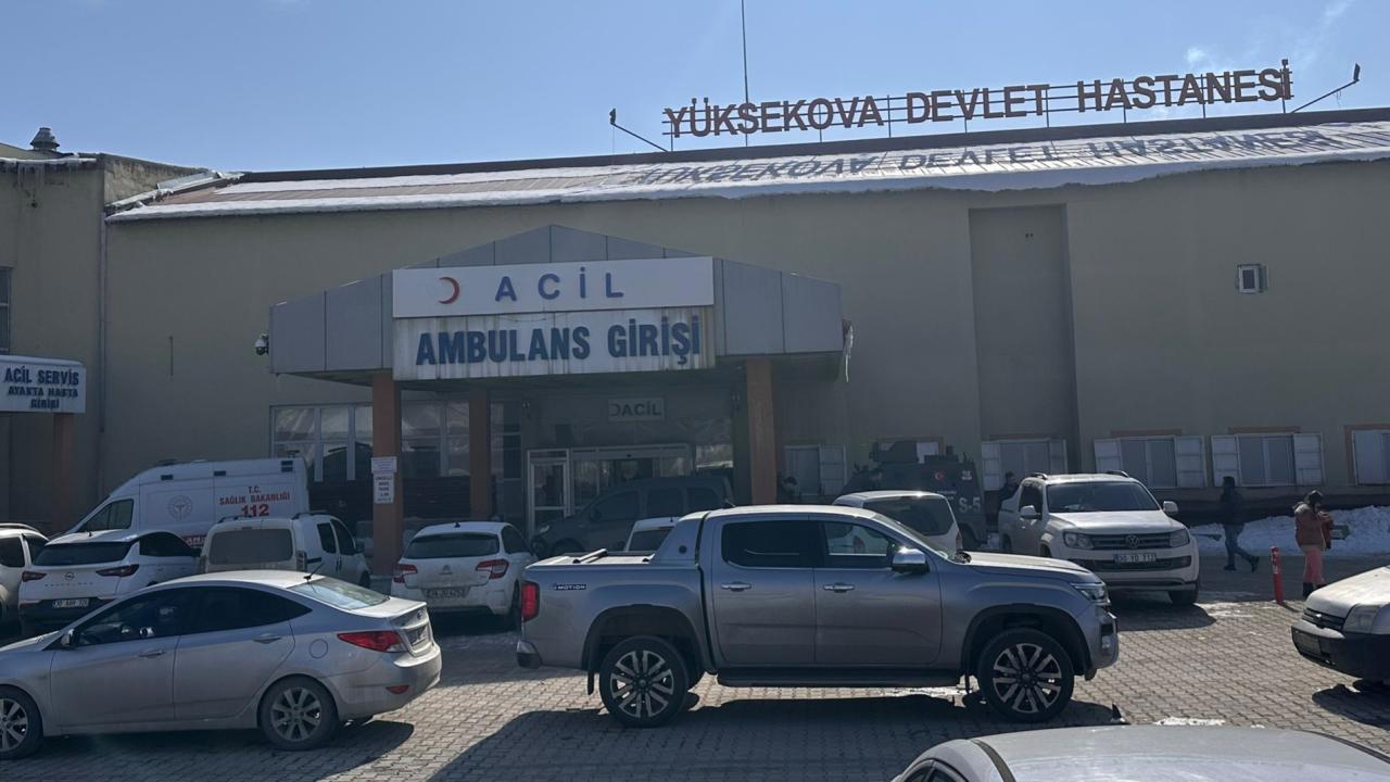 ş Köpeklerin Saldırısıyla Ölen Çocuk Olayında Müfettiş Görevlendirildi