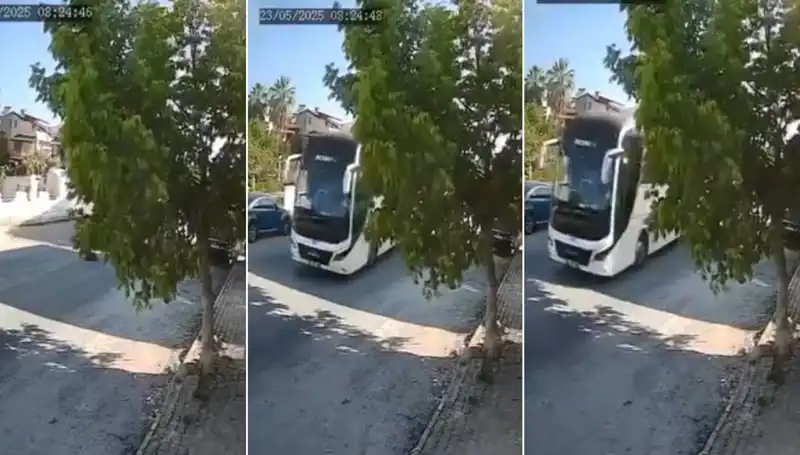 Yolda Yatan Köpeği Ezip Geçen Şoför, Hayvanseverleri Şoka Uğrattı!