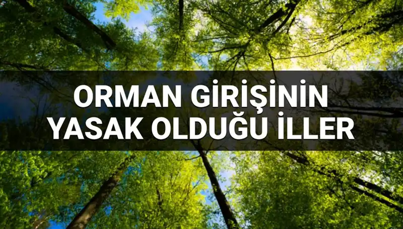 2025’te Ormana Girişi Yasaklanan İllerde Neler Oluyor?