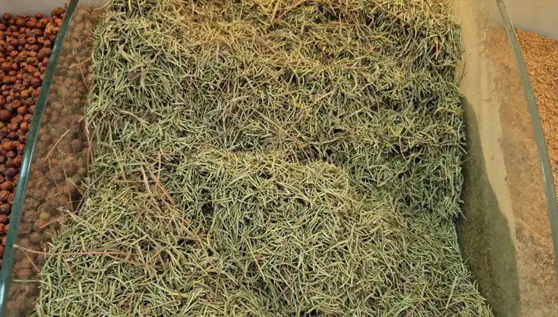 Yaz Aylarında İnternette Satılan Tehlikeli Ürünler: Ölüme Götürenler